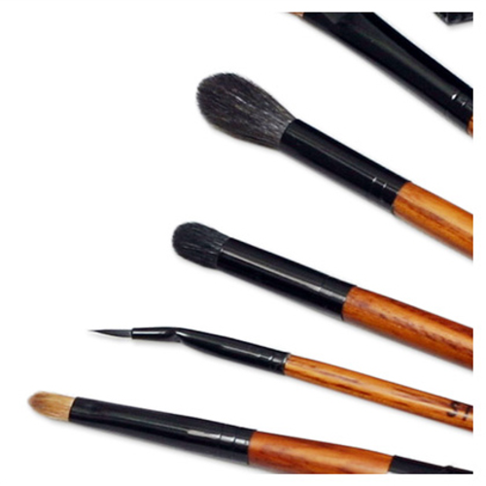 Professional prestige brush set