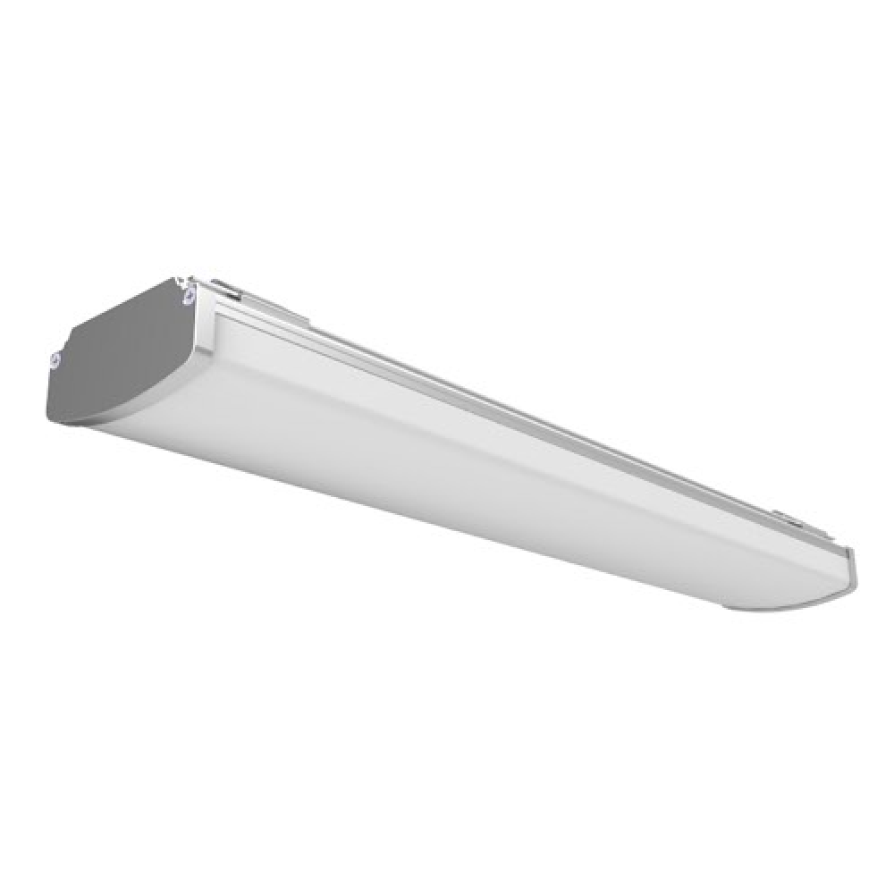 DML LED LAMP