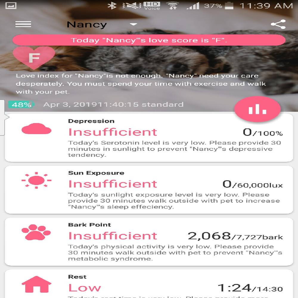 Doggo Healthcare service Bingo