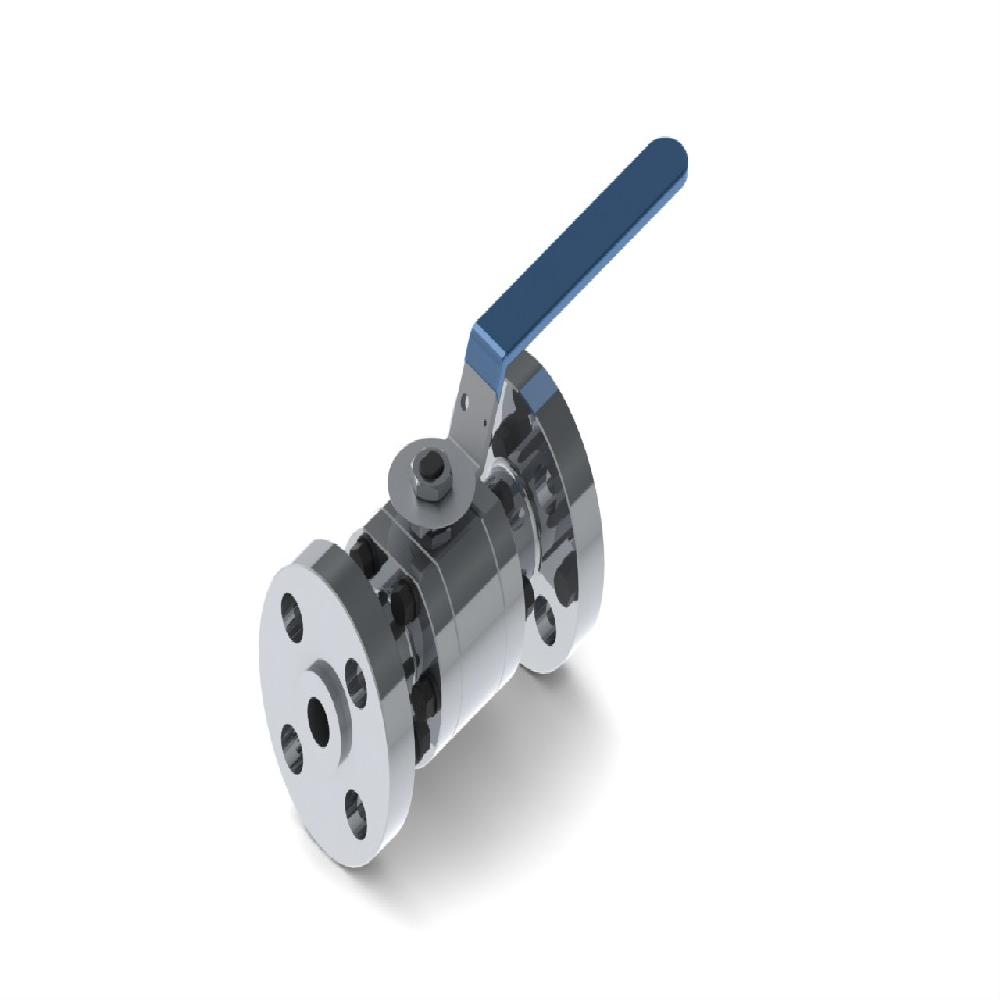 FLOATING FLANGED ENDS