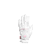 full image OIO TETRA  Golf Glove