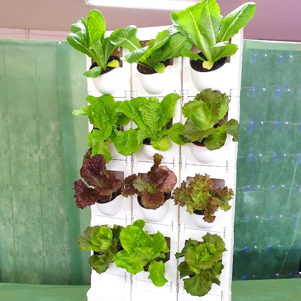 STACKO-POT (Vertical farm)