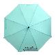 detail image1 Raon 62nd Umbrella (Laon Mint)