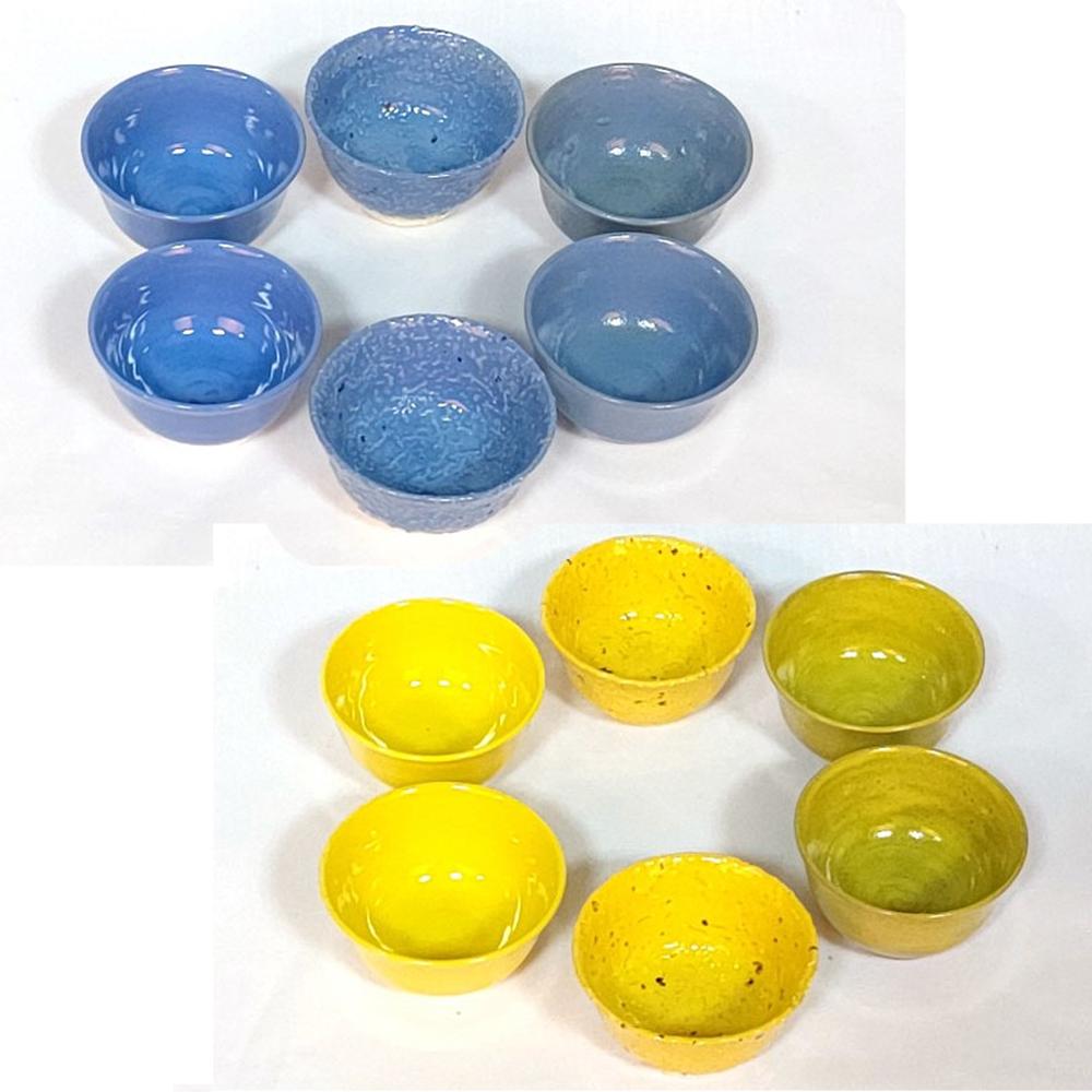 Brush Glaze 12Color Set / Gloss