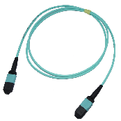 MPO/MTP PATCH CORD