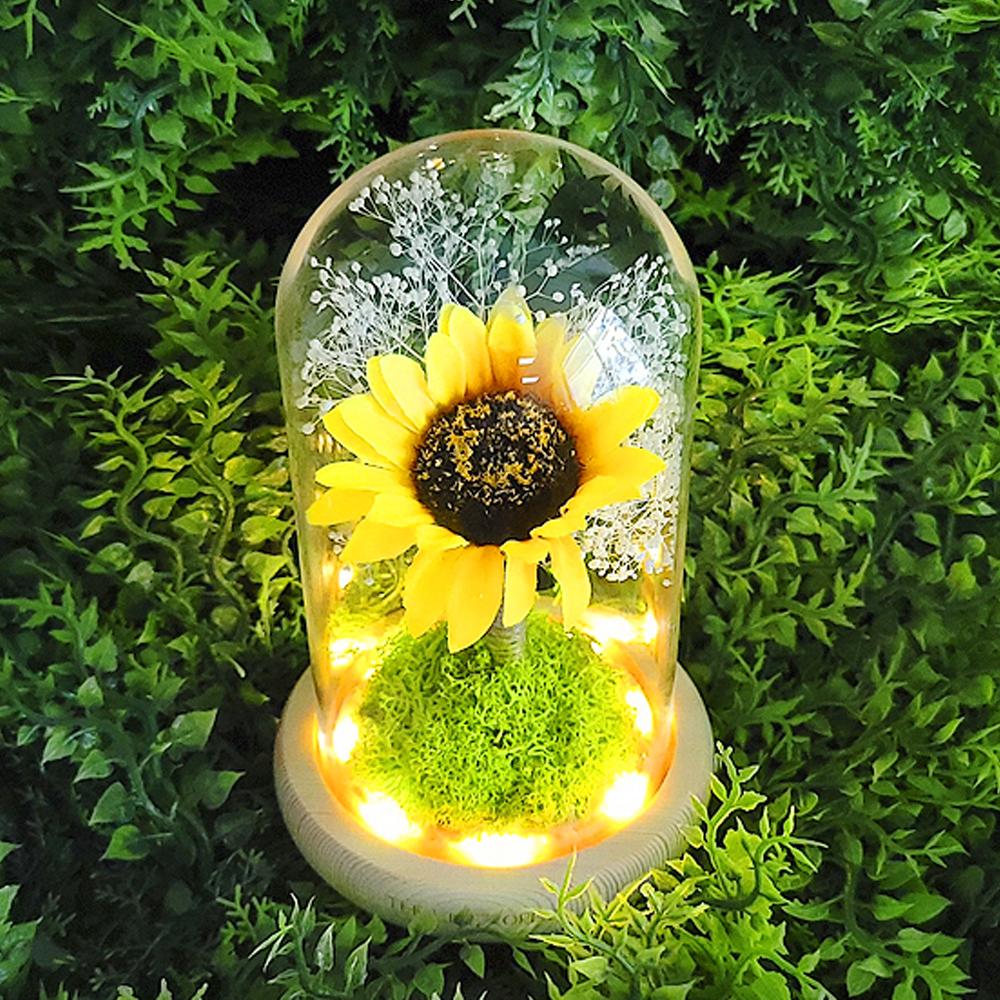 LED lucky sunflower glass dome mood light Gift