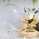 detail image3 LED Monroe Rose Flower Glass Dome Mood Light White Rose