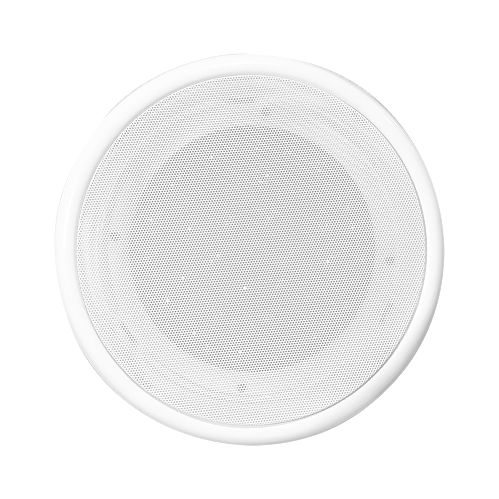 Audio Recording and Bug Suppressor "RBS-008C"