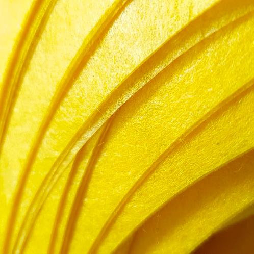 Natural Non-woven Golden Raw Silk Sheet