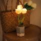 detail image1 Cutie Tulip Pot LED