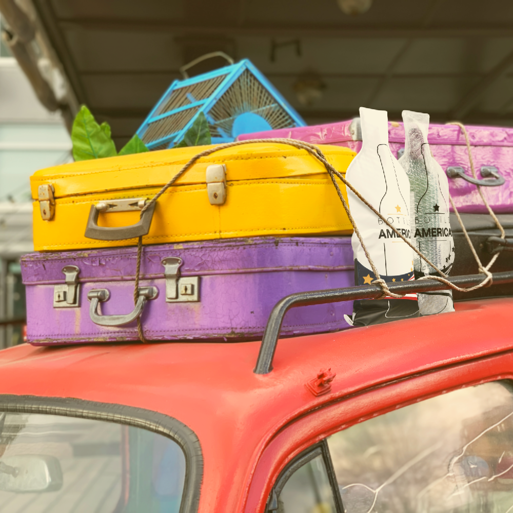 Reusable wine travel bags